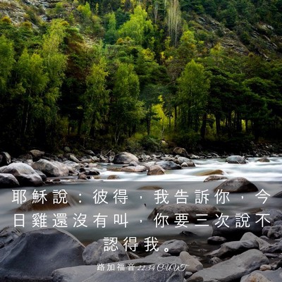 Picture 03 - 路 加 福 音 22:34 CUVT - 耶 穌 說 ： 彼 得 ， 我 告 訴 你 ， - Bible Verse Picture