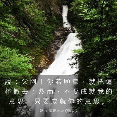 Picture 03 - 路 加 福 音 22:42 CUVT - 說 ： 父 阿 ！ 你 若 願 意 ， 就 把 - Bible Verse Picture