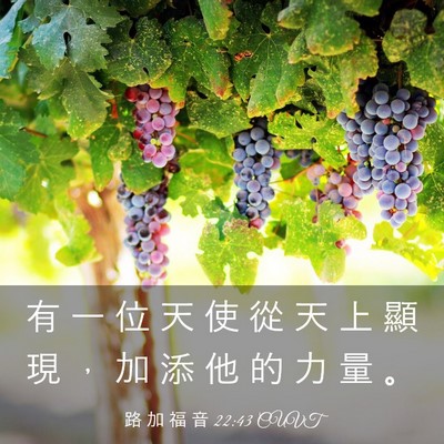 Picture 03 - 路 加 福 音 22:43 CUVT - 有 一 位 天 使 從 天 上 顯 現 ， 加 - Bible Verse Picture