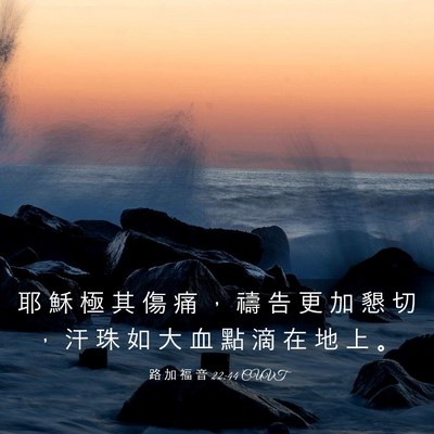 Picture 03 - 路 加 福 音 22:44 CUVT - 耶 穌 極 其 傷 痛 ， 禱 告 更 加 懇 - Bible Verse Picture