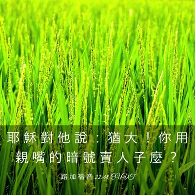 Picture 03 - 路 加 福 音 22:48 CUVT - 耶 穌 對 他 說 ： 猶 大 ！ 你 用 親 - Bible Verse Picture