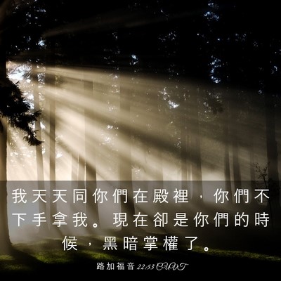 Picture 03 - 路 加 福 音 22:53 CUVT - 我 天 天 同 你 們 在 殿 裡 ， 你 們 - Bible Verse Picture