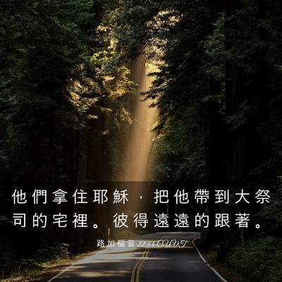 Picture 03 - 路 加 福 音 22:54 CUVT - 他 們 拿 住 耶 穌 ， 把 他 帶 到 大 - Bible Verse Picture