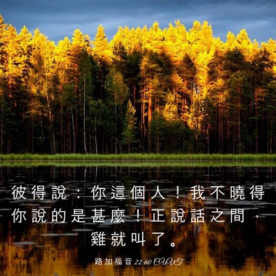 Picture 03 - 路 加 福 音 22:60 CUVT - 彼 得 說 ： 你 這 個 人 ！ 我 不 曉 - Bible Verse Picture