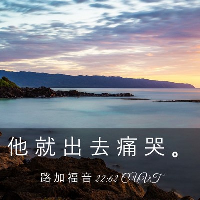 Picture 03 - 路 加 福 音 22:62 CUVT - 他 就 出 去 痛 哭 - Bible Verse Picture