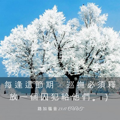 Picture 03 - 路 加 福 音 23:17 CUVT - 每 逢 這 節 期 ， 巡 撫 必 須 釋 放 - Bible Verse Picture