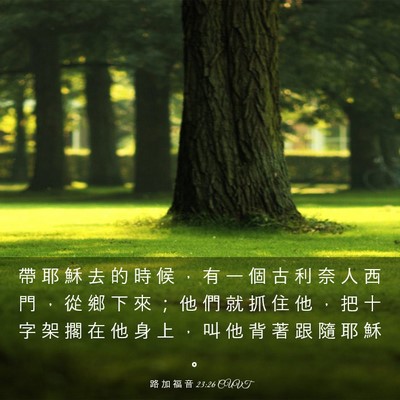 Picture 03 - 路 加 福 音 23:26 CUVT - 帶 耶 穌 去 的 時 候 ， 有 一 個 古 - Bible Verse Picture