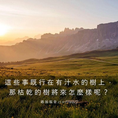 Picture 03 - 路 加 福 音 23:31 CUVT - 這 些 事 既 行 在 有 汁 水 的 樹 上 - Bible Verse Picture