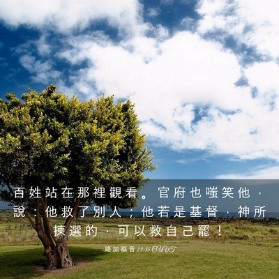Picture 03 - 路 加 福 音 23:35 CUVT - 百 姓 站 在 那 裡 觀 看 。 官 府 也 - Bible Verse Picture