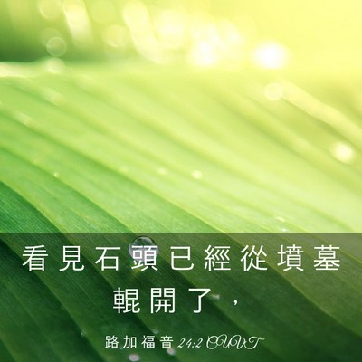 Picture 03 - 路 加 福 音 24:2 CUVT - 看 見 石 頭 已 經 從 墳 墓 輥 開 了 - Bible Verse Picture