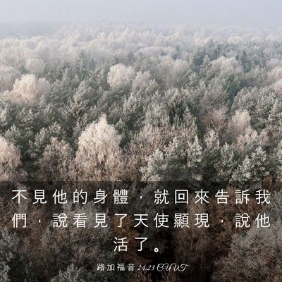 Picture 03 - 路 加 福 音 24:23 CUVT - 不 見 他 的 身 體 ， 就 回 來 告 訴 - Bible Verse Picture