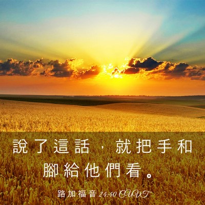 Picture 03 - 路 加 福 音 24:40 CUVT - 說 了 這 話 ， 就 把 手 和 腳 給 他 - Bible Verse Picture