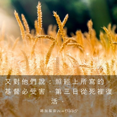 Picture 03 - 路 加 福 音 24:46 CUVT - 又 對 他 們 說 ： 照 經 上 所 寫 的 - Bible Verse Picture