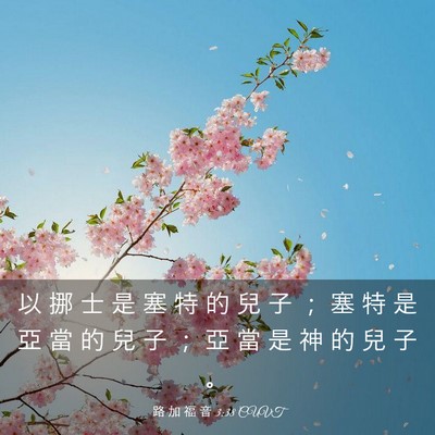 Picture 03 - 路 加 福 音 3:38 CUVT - 以 挪 士 是 塞 特 的 兒 子 ； 塞 特 - Bible Verse Picture