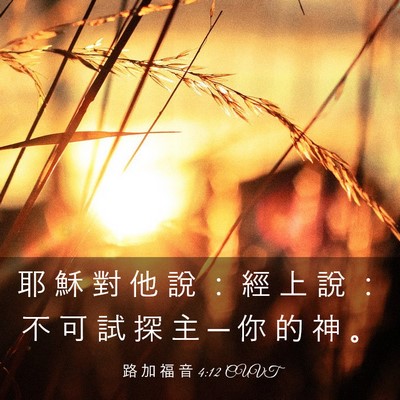 Picture 03 - 路 加 福 音 4:12 CUVT - 耶 穌 對 他 說 ： 經 上 說 ： 不 可 - Bible Verse Picture