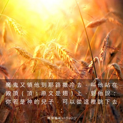 Picture 03 - 路 加 福 音 4:9 CUVT - 魔 鬼 又 領 他 到 耶 路 撒 冷 去 ， - Bible Verse Picture