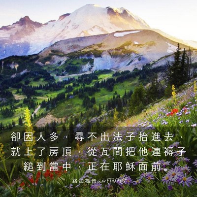 Picture 03 - 路 加 福 音 5:19 CUVT - 卻 因 人 多 ， 尋 不 出 法 子 抬 進 - Bible Verse Picture