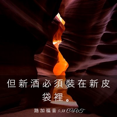 Picture 03 - 路 加 福 音 5:38 CUVT - 但 新 酒 必 須 裝 在 新 皮 袋 裡 - Bible Verse Picture