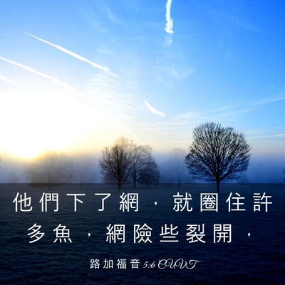 Picture 03 - 路 加 福 音 5:6 CUVT - 他 們 下 了 網 ， 就 圈 住 許 多 魚 - Bible Verse Picture