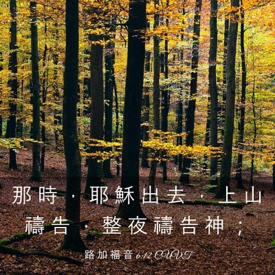 Picture 03 - 路 加 福 音 6:12 CUVT - 那 時 ， 耶 穌 出 去 ， 上 山 禱 告 - Bible Verse Picture