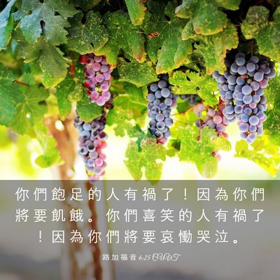 Picture 03 - 路 加 福 音 6:25 CUVT - 你 們 飽 足 的 人 有 禍 了 ！ 因 為 - Bible Verse Picture