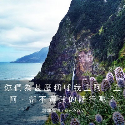 Picture 03 - 路 加 福 音 6:46 CUVT - 你 們 為 甚 麼 稱 呼 我 主 阿 ， 主 - Bible Verse Picture
