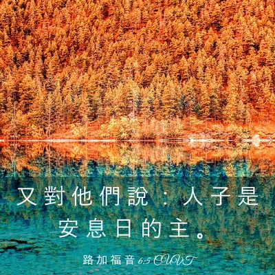 Picture 03 - 路 加 福 音 6:5 CUVT - 又 對 他 們 說 ： 人 子 是 安 息 日 - Bible Verse Picture
