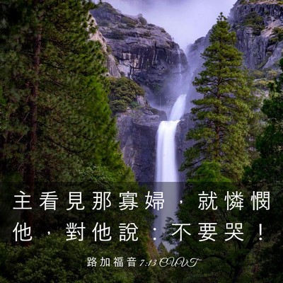 Picture 03 - 路 加 福 音 7:13 CUVT - 主 看 見 那 寡 婦 ， 就 憐 憫 他 ， - Bible Verse Picture