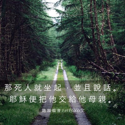 Picture 03 - 路 加 福 音 7:15 CUVT - 那 死 人 就 坐 起 ， 並 且 說 話 。 - Bible Verse Picture