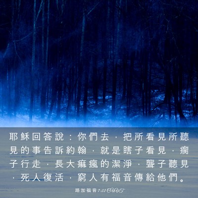 Picture 03 - 路 加 福 音 7:22 CUVT - 耶 穌 回 答 說 ： 你 們 去 ， 把 所 - Bible Verse Picture