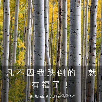 Picture 03 - 路 加 福 音 7:23 CUVT - 凡 不 因 我 跌 倒 的 ， 就 有 福 了 - Bible Verse Picture