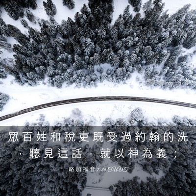 Picture 03 - 路 加 福 音 7:29 CUVT - 眾 百 姓 和 稅 吏 既 受 過 約 翰 的 - Bible Verse Picture