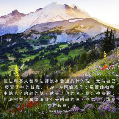 Picture 03 - 路 加 福 音 7:30 CUVT - 但 法 利 賽 人 和 律 法 師 沒 有 受 - Bible Verse Picture