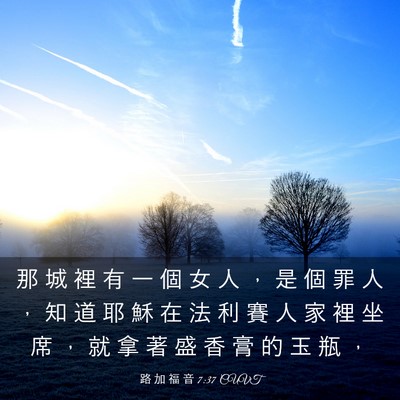 Picture 03 - 路 加 福 音 7:37 CUVT - 那 城 裡 有 一 個 女 人 ， 是 個 罪 - Bible Verse Picture