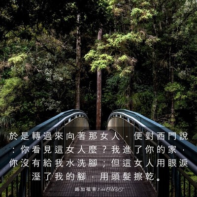 Picture 03 - 路 加 福 音 7:44 CUVT - 於 是 轉 過 來 向 著 那 女 人 ， 便 - Bible Verse Picture