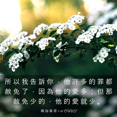 Picture 03 - 路 加 福 音 7:47 CUVT - 所 以 我 告 訴 你 ， 他 許 多 的 罪 - Bible Verse Picture