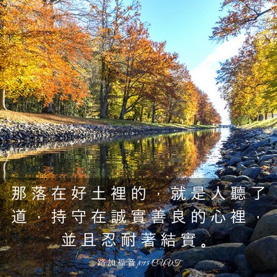 Picture 03 - 路 加 福 音 8:15 CUVT - 那 落 在 好 土 裡 的 ， 就 是 人 聽 - Bible Verse Picture