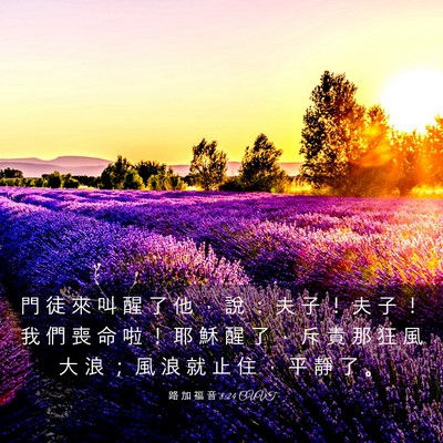 Picture 03 - 路 加 福 音 8:24 CUVT - 門 徒 來 叫 醒 了 他 ， 說 ： 夫 子 - Bible Verse Picture