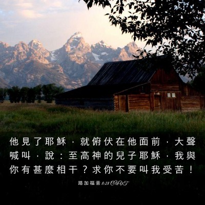 Picture 03 - 路 加 福 音 8:28 CUVT - 他 見 了 耶 穌 ， 就 俯 伏 在 他 面 - Bible Verse Picture
