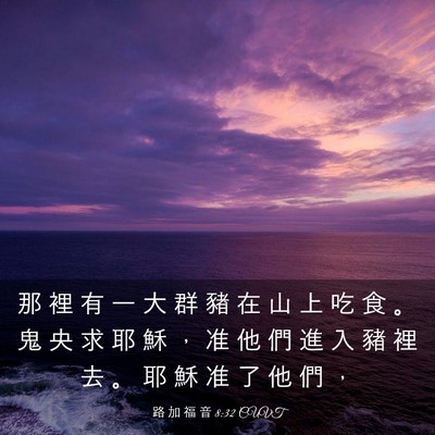 Picture 03 - 路 加 福 音 8:32 CUVT - 那 裡 有 一 大 群 豬 在 山 上 吃 食 - Bible Verse Picture