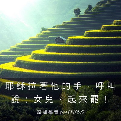 Picture 03 - 路 加 福 音 8:54 CUVT - 耶 穌 拉 著 他 的 手 ， 呼 叫 說 ： - Bible Verse Picture