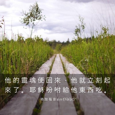 Picture 03 - 路 加 福 音 8:55 CUVT - 他 的 靈 魂 便 回 來 ， 他 就 立 刻 - Bible Verse Picture