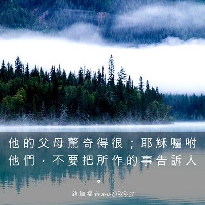 Picture 03 - 路 加 福 音 8:56 CUVT - 他 的 父 母 驚 奇 得 很 ； 耶 穌 囑 - Bible Verse Picture