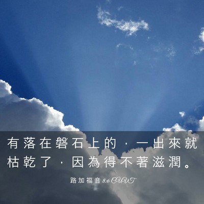 Picture 03 - 路 加 福 音 8:6 CUVT - 有 落 在 磐 石 上 的 ， 一 出 來 就 - Bible Verse Picture