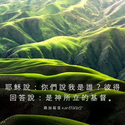 Picture 03 - 路 加 福 音 9:20 CUVT - 耶 穌 說 ： 你 們 說 我 是 誰 ？ 彼 - Bible Verse Picture