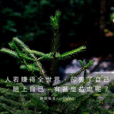 Picture 03 - 路 加 福 音 9:25 CUVT - 人 若 賺 得 全 世 界 ， 卻 喪 了 自 - Bible Verse Picture