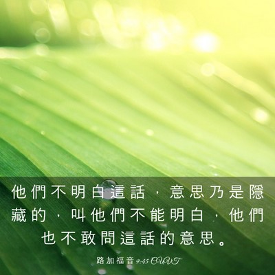 Picture 03 - 路 加 福 音 9:45 CUVT - 他 們 不 明 白 這 話 ， 意 思 乃 是 - Bible Verse Picture