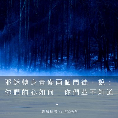 Picture 03 - 路 加 福 音 9:55 CUVT - 耶 穌 轉 身 責 備 兩 個 門 徒 ， 說 - Bible Verse Picture