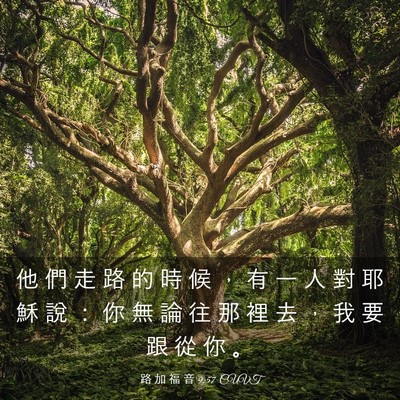 Picture 03 - 路 加 福 音 9:57 CUVT - 他 們 走 路 的 時 候 ， 有 一 人 對 - Bible Verse Picture