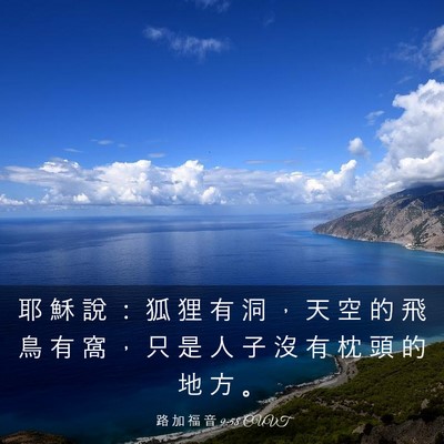 Picture 03 - 路 加 福 音 9:58 CUVT - 耶 穌 說 ： 狐 狸 有 洞 ， 天 空 的 - Bible Verse Picture